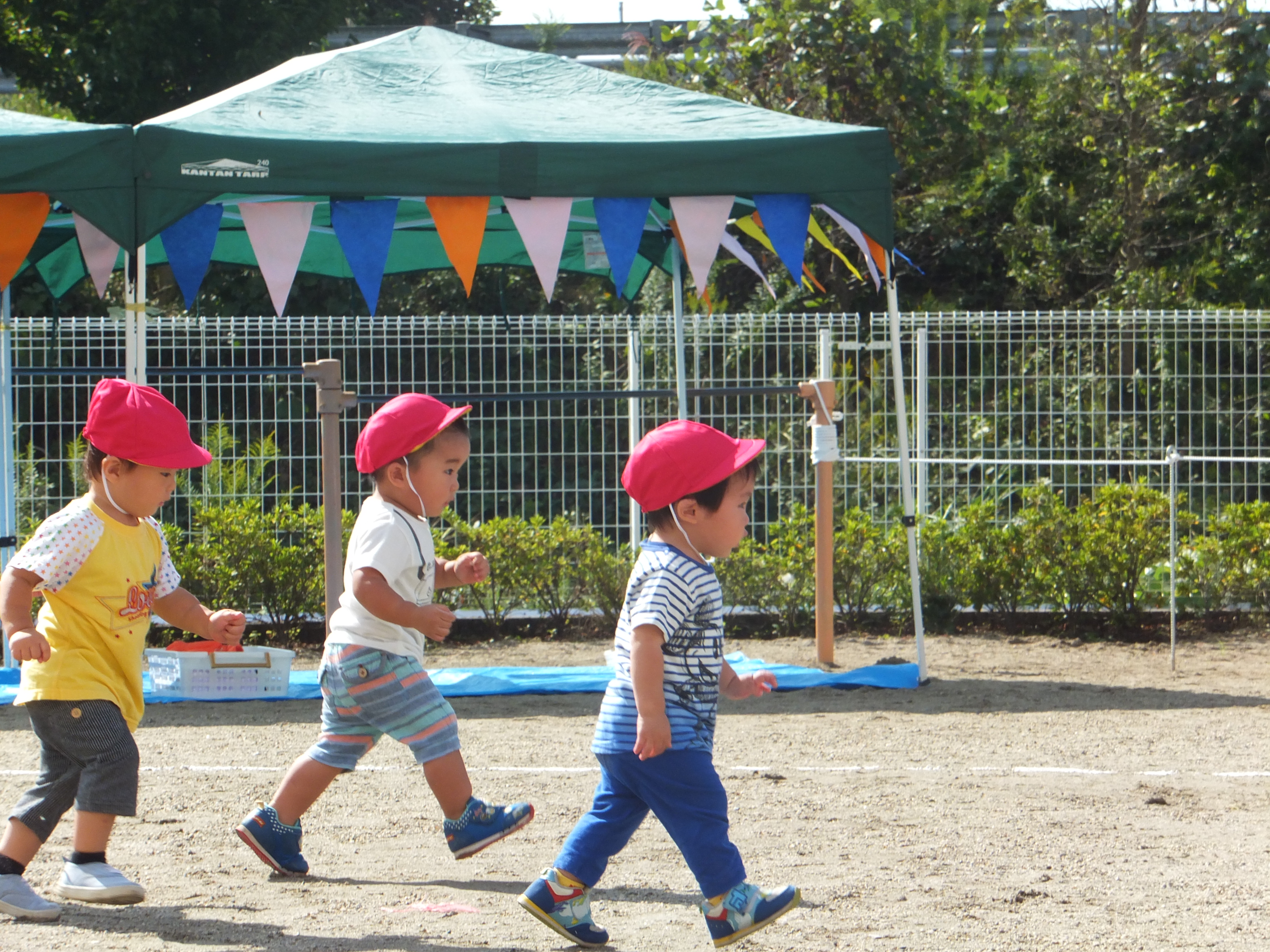 本日 第8回牛久ひかり保育園運動会を行いました 牛久ひかり保育園